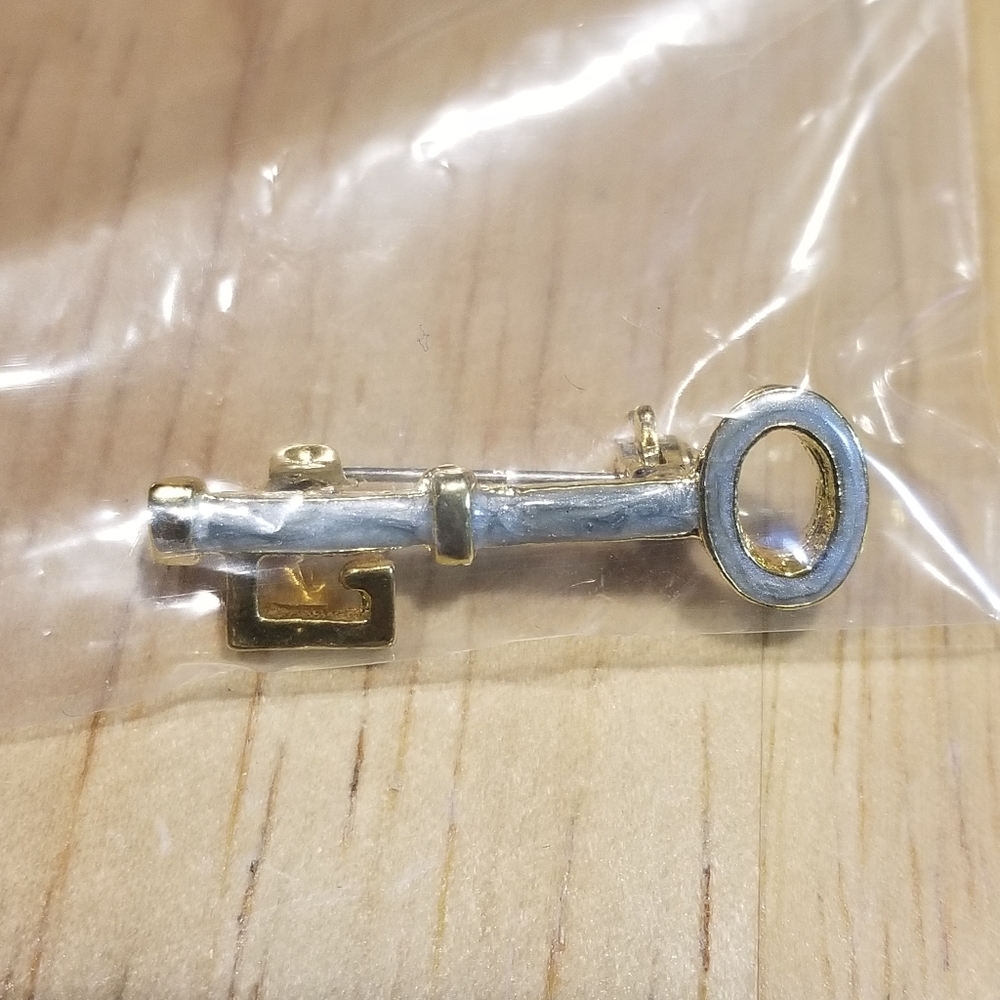 New Lock and Key Pin - Picture 3 of 3